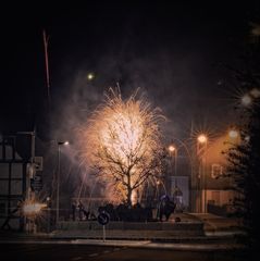 Der Baum brennt (wieder)