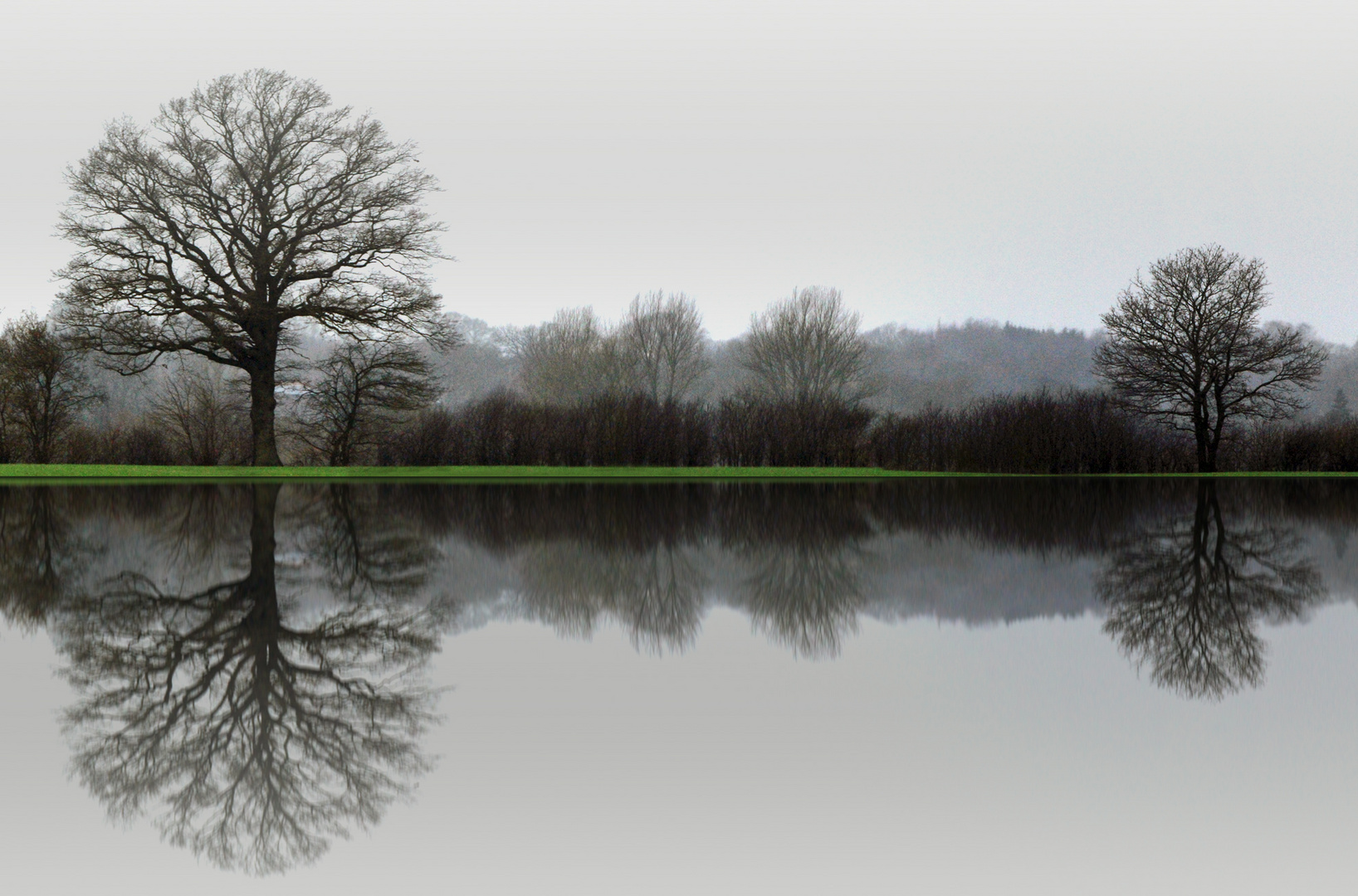 -der Baum-