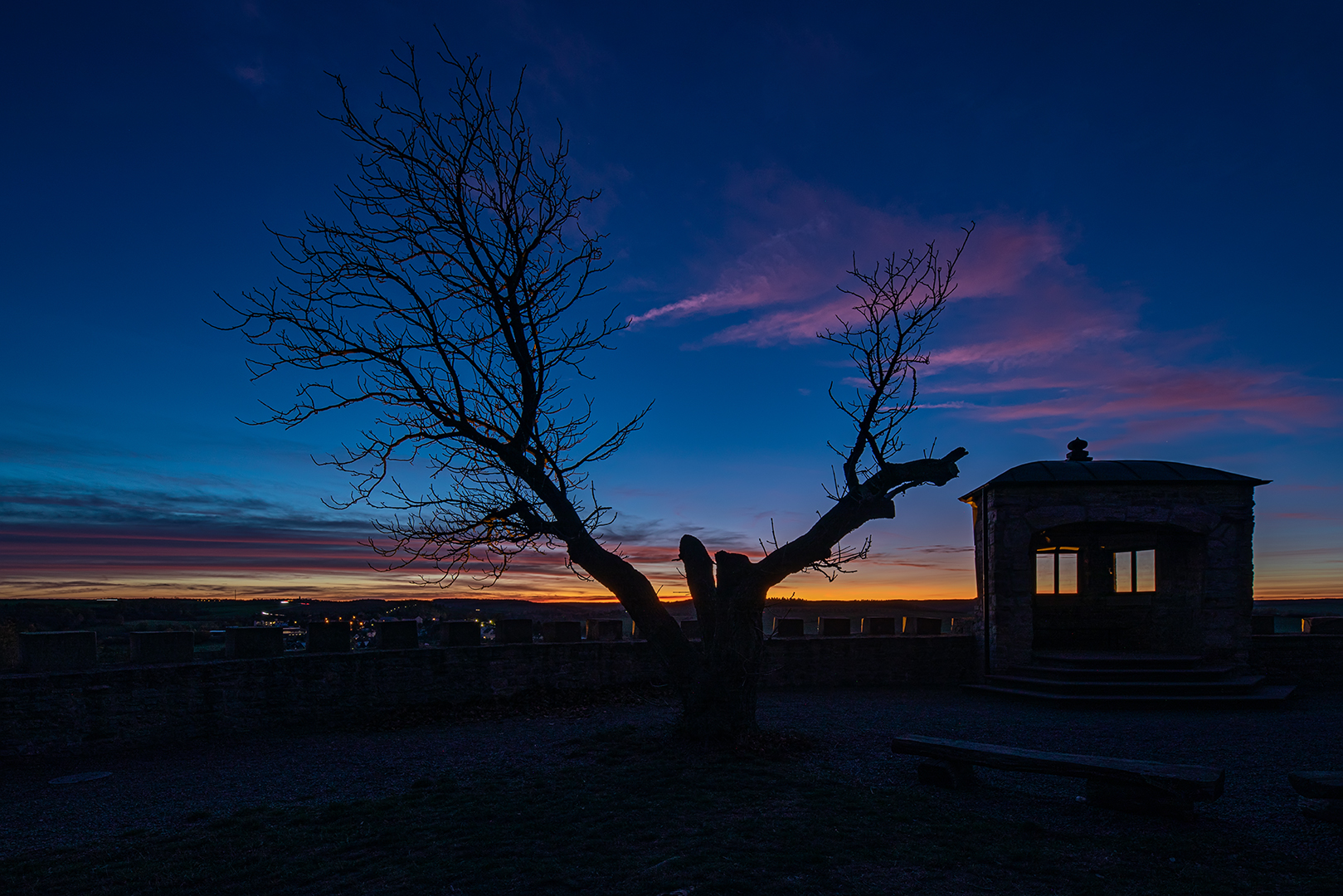 Der Baum...