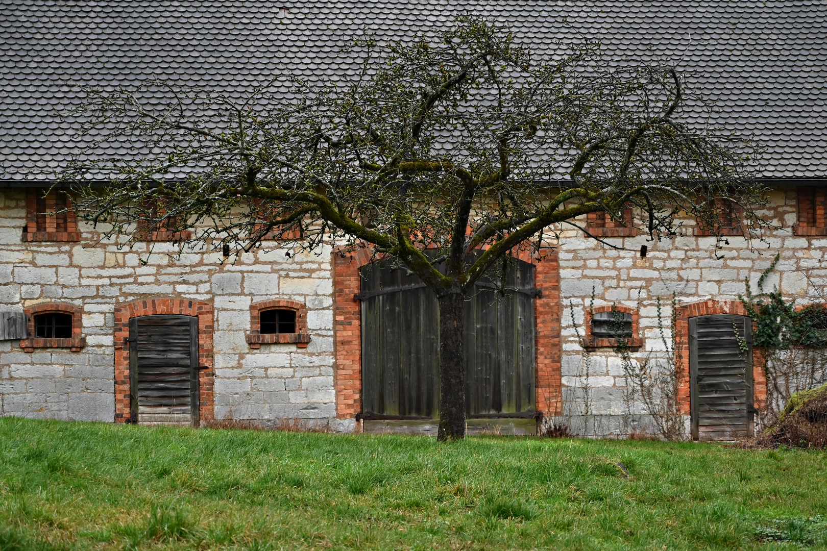 Der Baum der Erkenntnis....