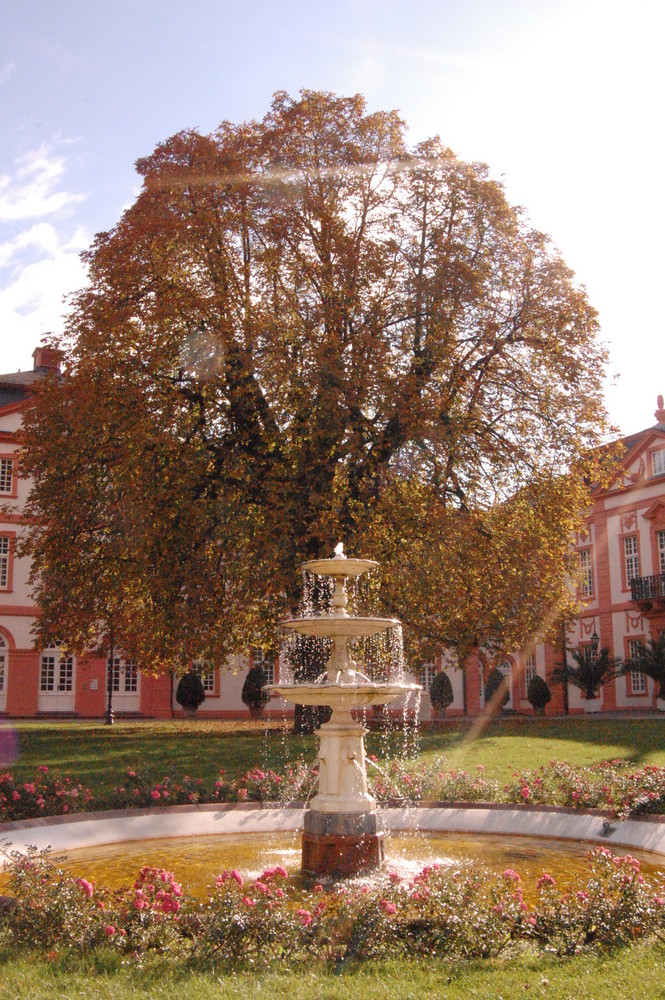 Der Baum der Erkenntnis