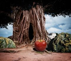 Der Baum der Erkenntnis