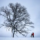 Der Baum, der Mann und sein Hund