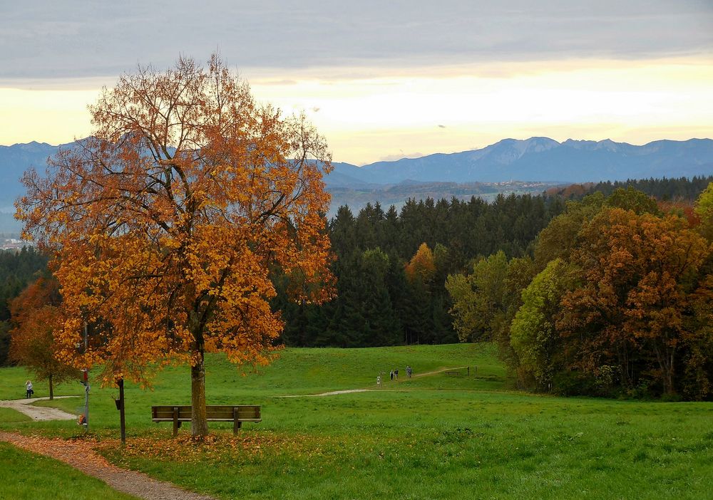 Der Baum, die schöne Aussicht, die Berge, der Sonnenuntergang