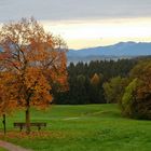 Der Baum, die schöne Aussicht, die Berge, der Sonnenuntergang