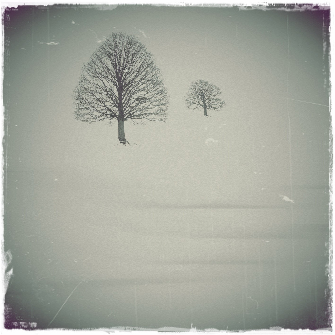 - der baum II..... -