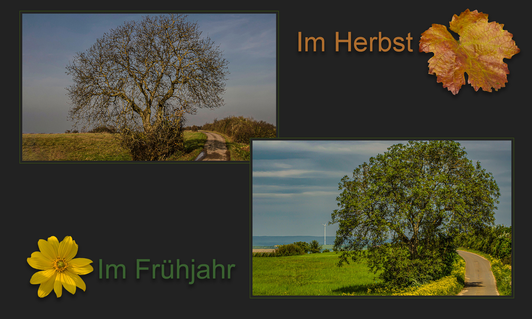 DER BAUM IM FRÜHLING UND IM HERBST