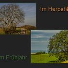 DER BAUM IM FRÜHLING UND IM HERBST