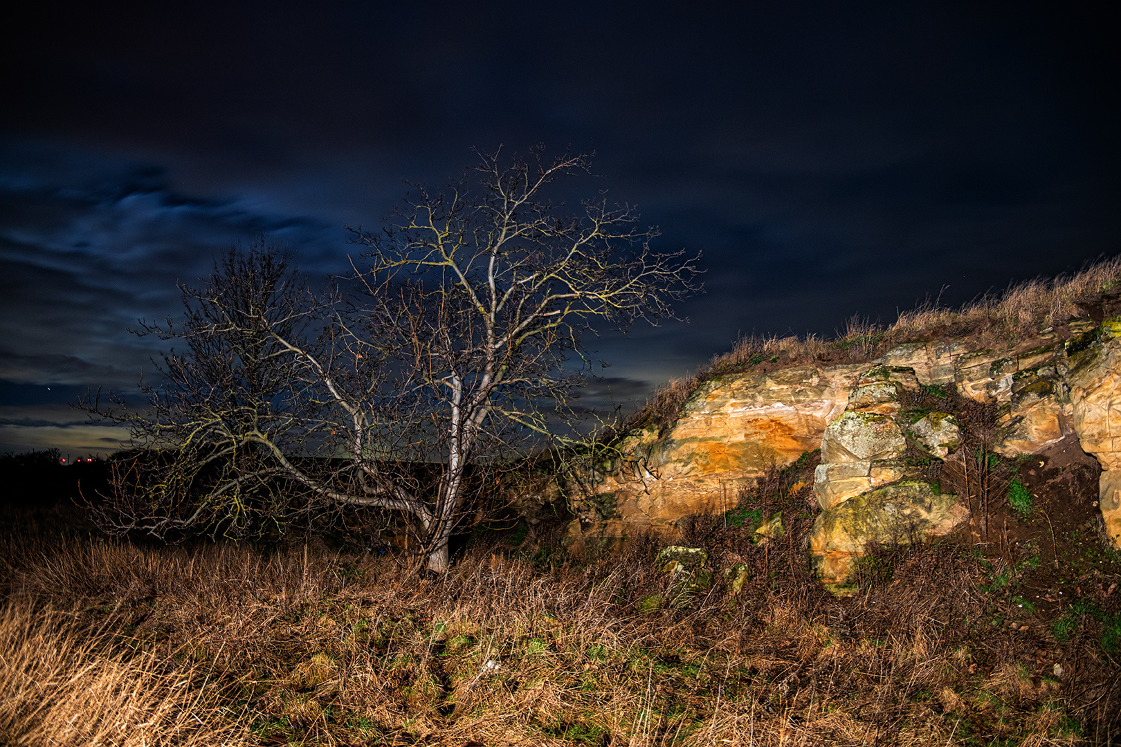 Der Baum im Galgengrund...