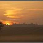 Der Baum im Morgennebel