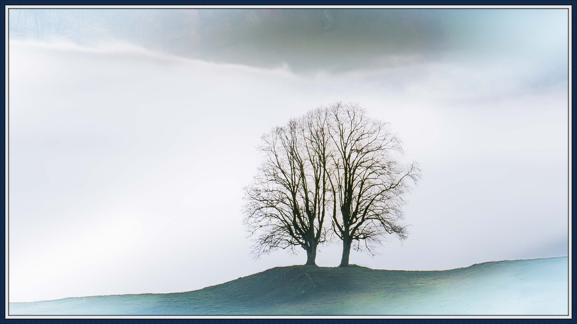 Der Baum im Nebel