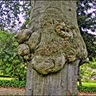 Der Baum im Park