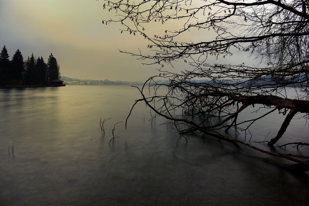 Der Baum im See Foto Bild natur Bilder auf fotocommunity Der Baum im See Foto Bild natur Bilder auf fotocommunity