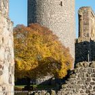 Der Baum in der Burg (1)