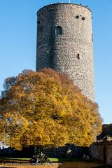 Der Baum in der Burg (2)