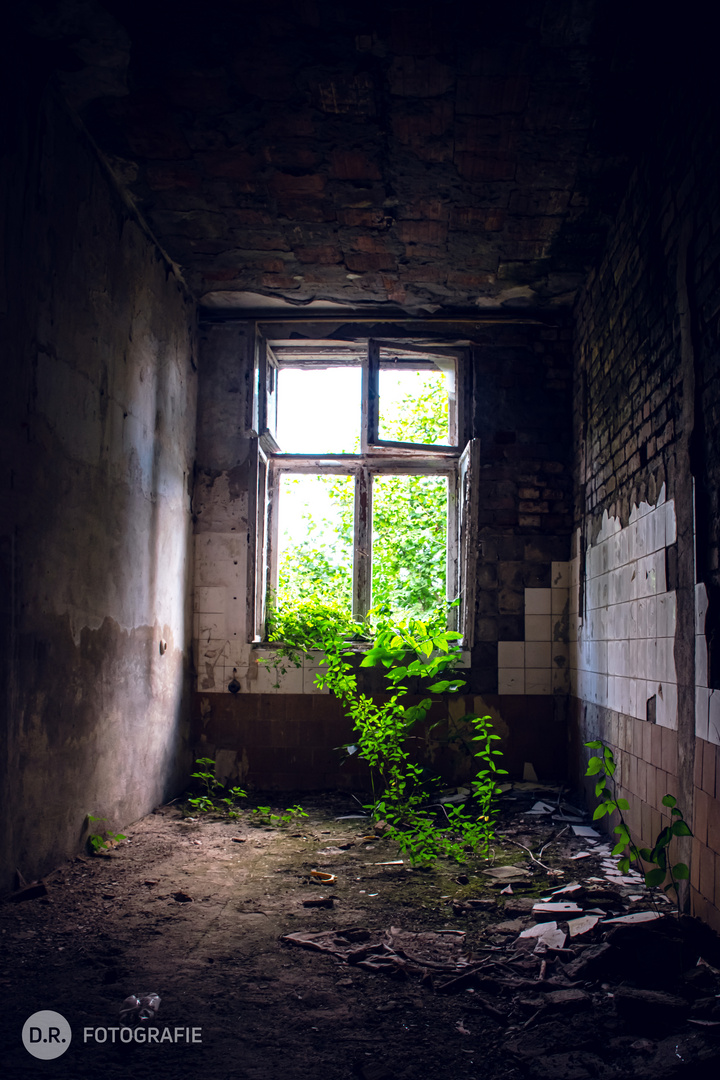 Der Baum in der Fabrik