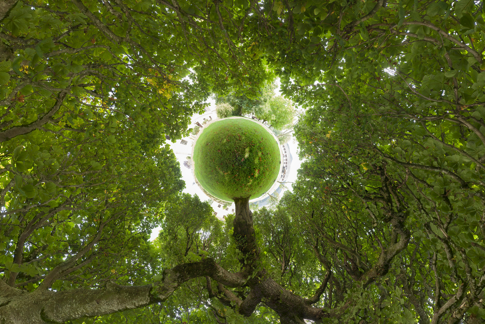 Der Baum in Grün