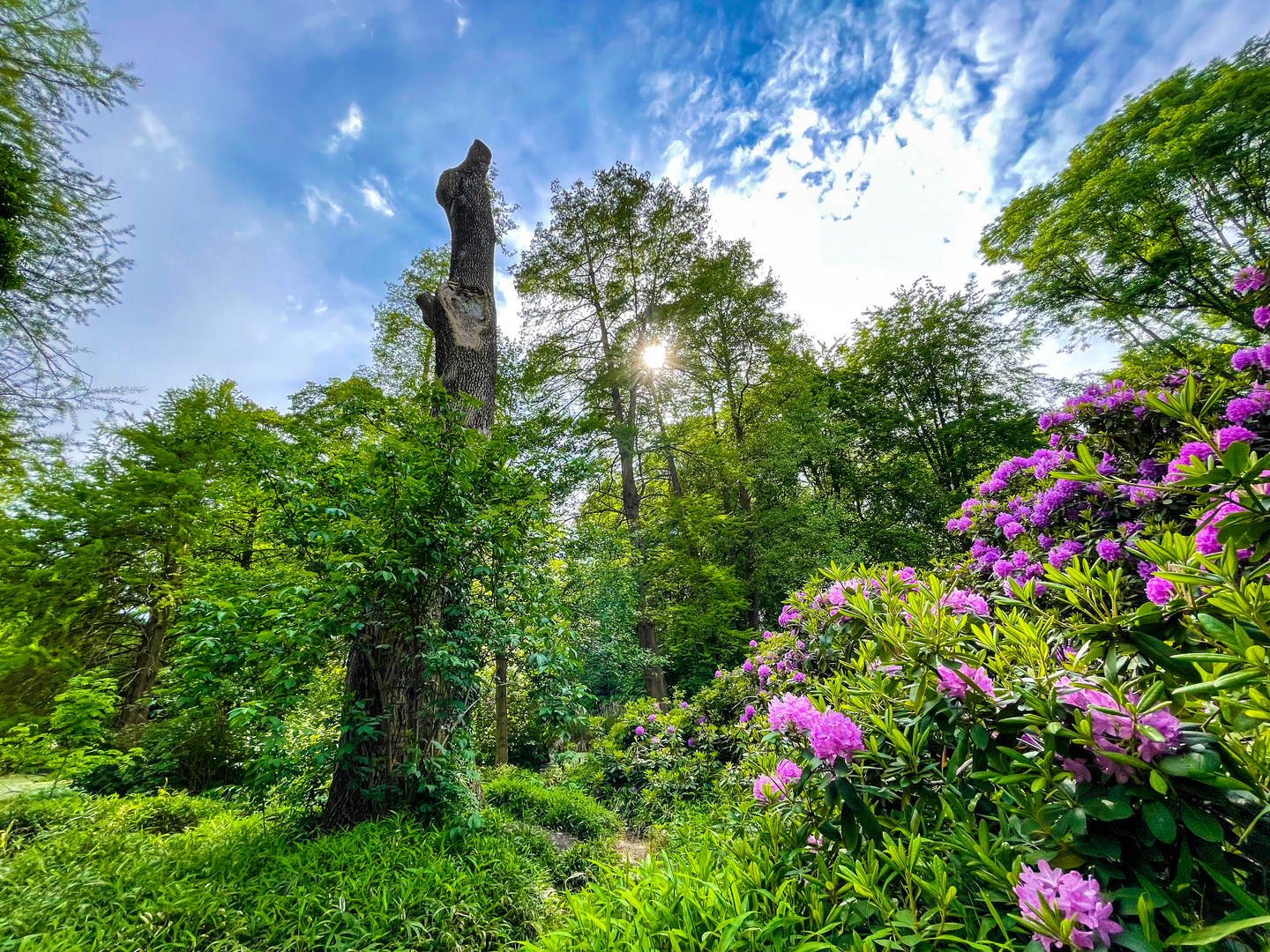 Der Baum ist noch lange nicht tot