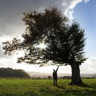 Der Baum, mein Freund