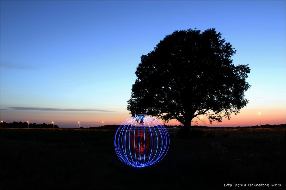 der Baum Orb ....