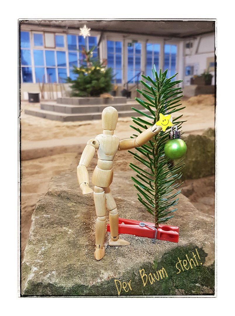 Der Baum Steht Foto Bild Weihnachten Spezial Stillleben Bilder Auf Fotocommunity