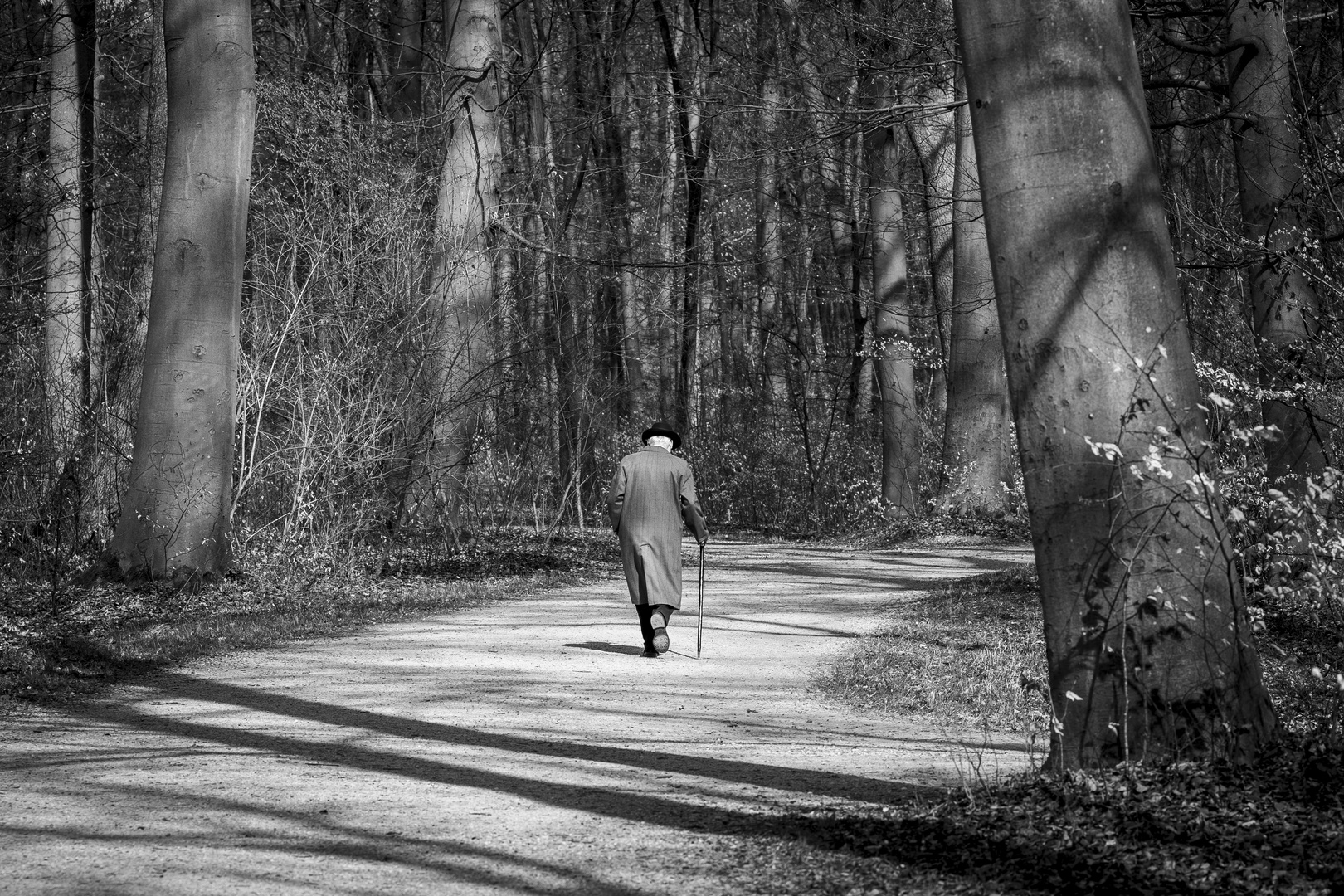 der baum steht - der mensch geht