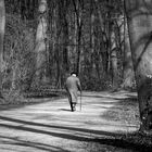 der baum steht - der mensch geht