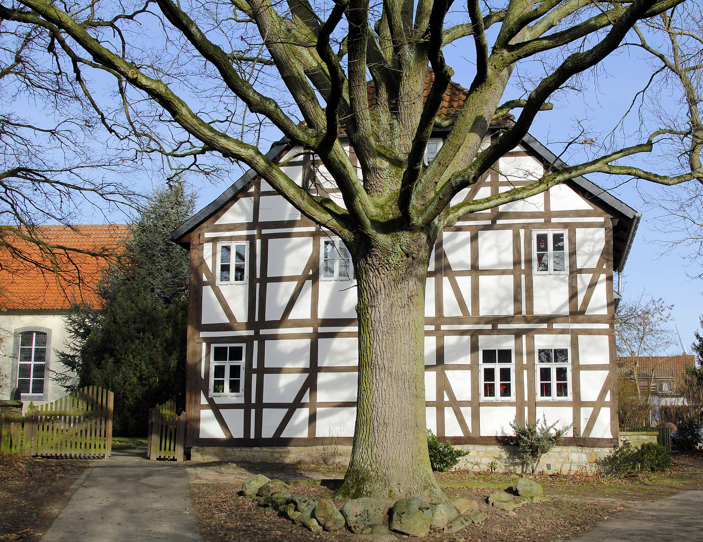 Der Baum steht im Weg