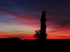 Der Baum stirbt