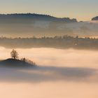 Der Baum über dem Nebel