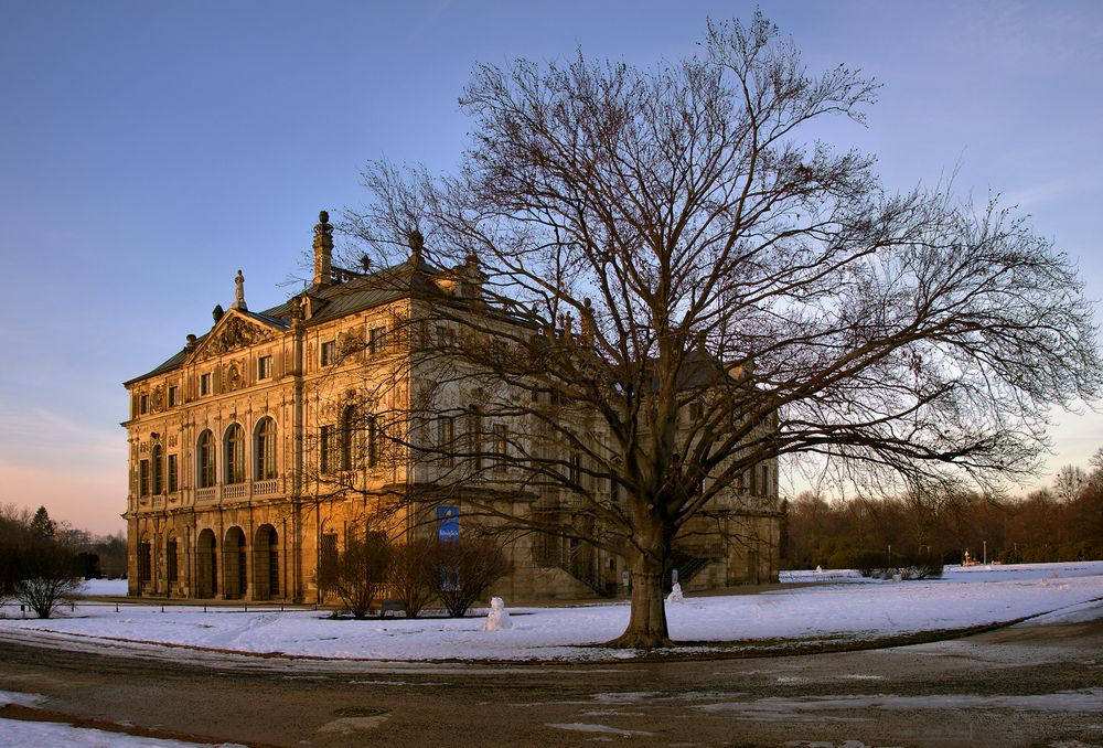 Der Baum und das Palais