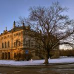 Der Baum und das Palais