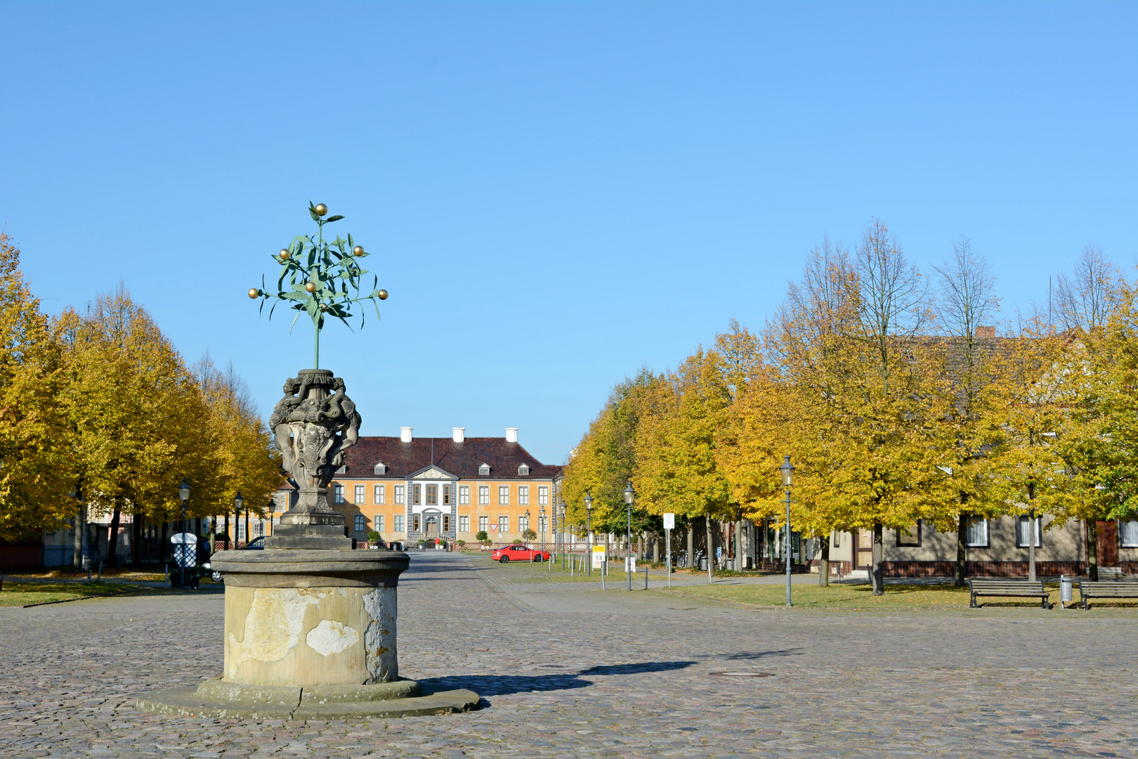 Der Baum und das Schloß in Oranienbaum