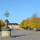 Der Baum und das Schloß in Oranienbaum