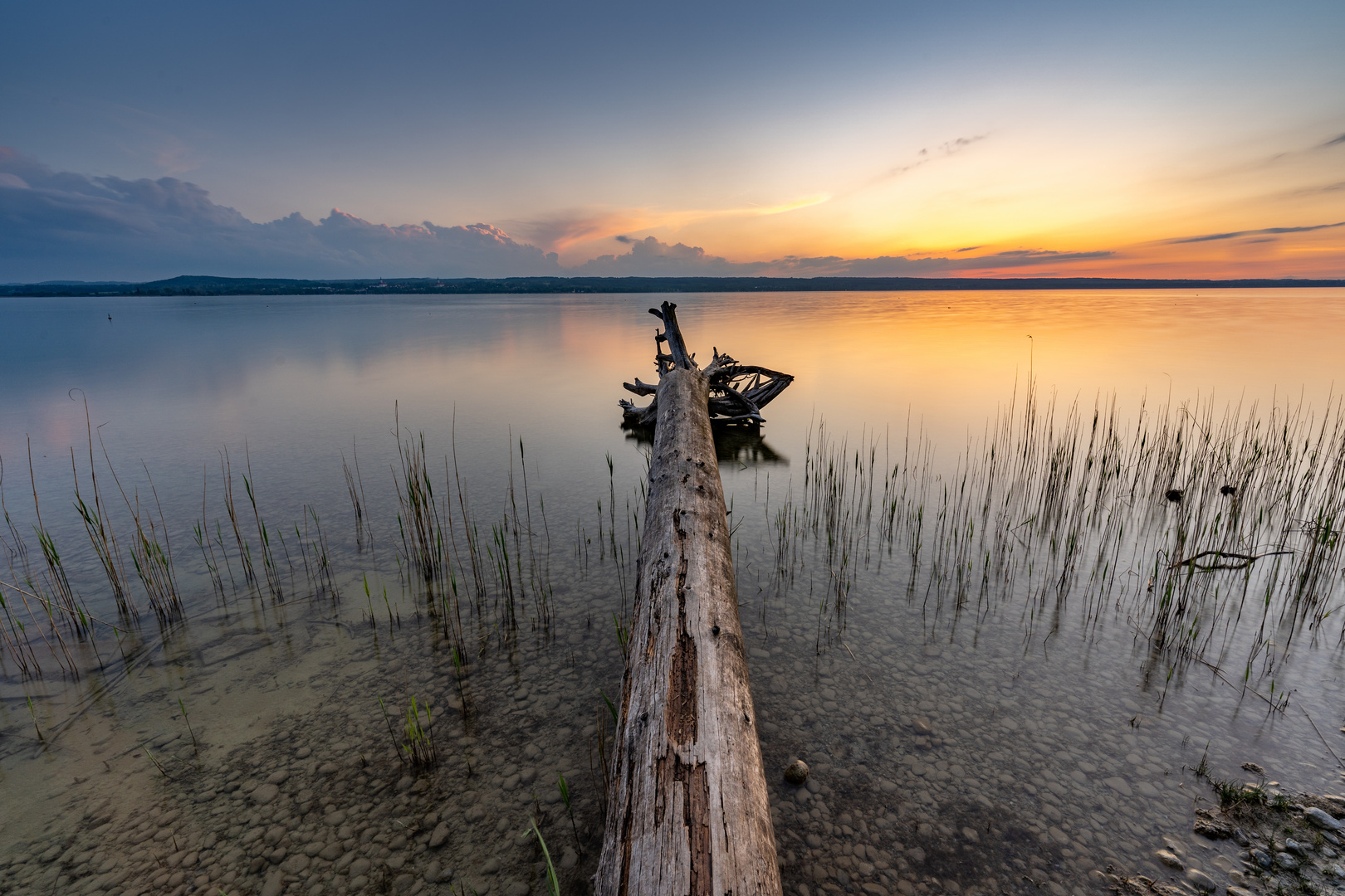 Der Baum und der See - mit Youtube Video