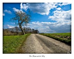 Der Baum und der Weg