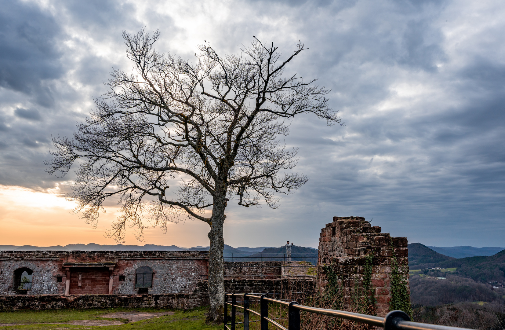 Der Baum und die Burg