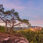 Der Baum und die Burg