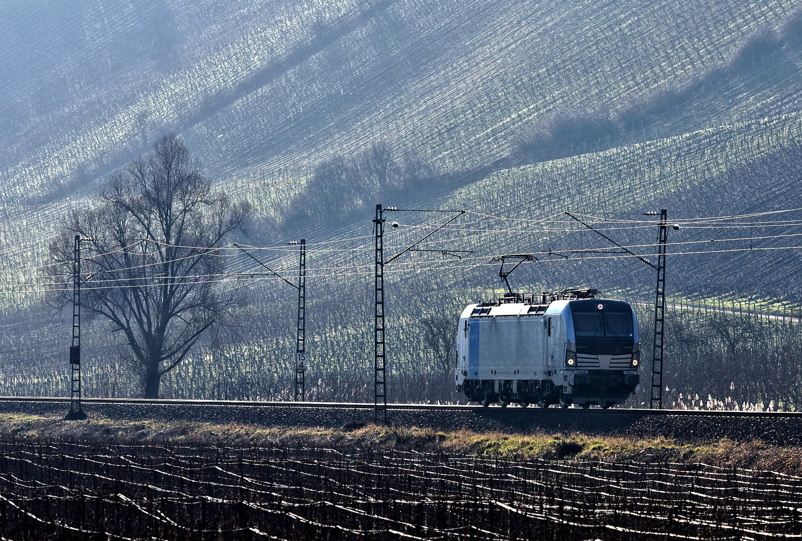 Der Baum und die Lok