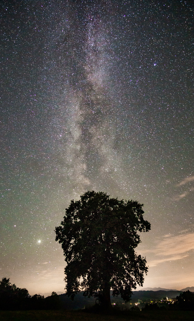 Der Baum und die Milchstraße 