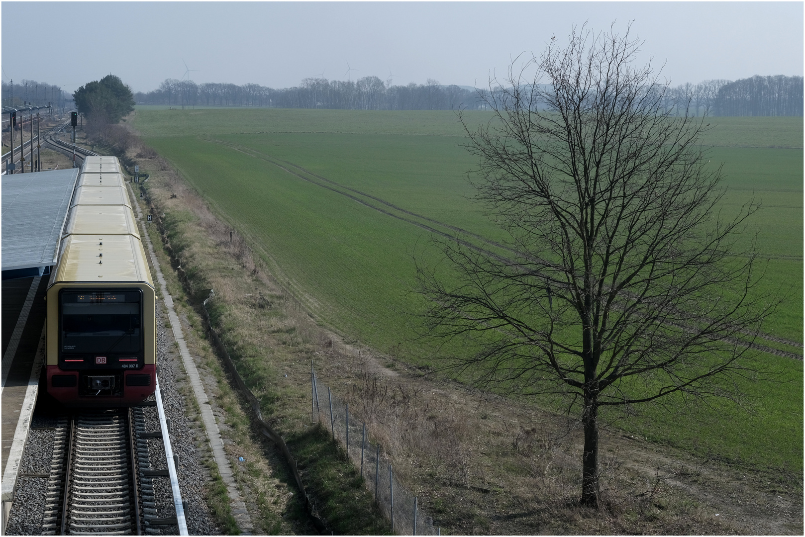 Der Baum und die S-Bahn