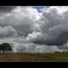 Der Baum und die Wolke