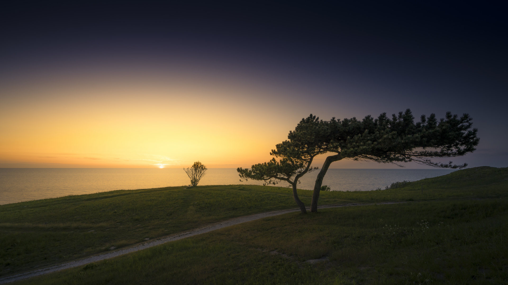 Der Baum und sein Freund