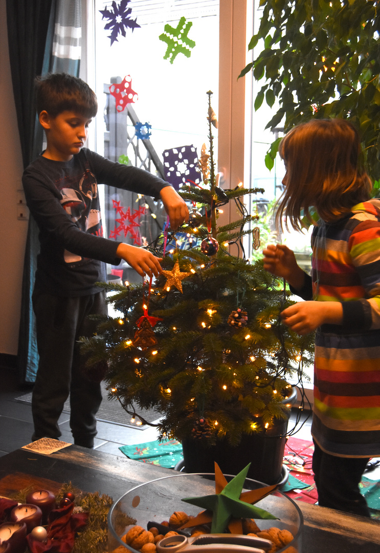 Der Baum wird geschmückt