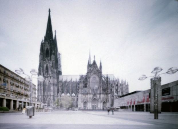 Der Baum zwischen Museum und Dom-Hotel