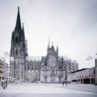 Der Baum zwischen Museum und Dom-Hotel