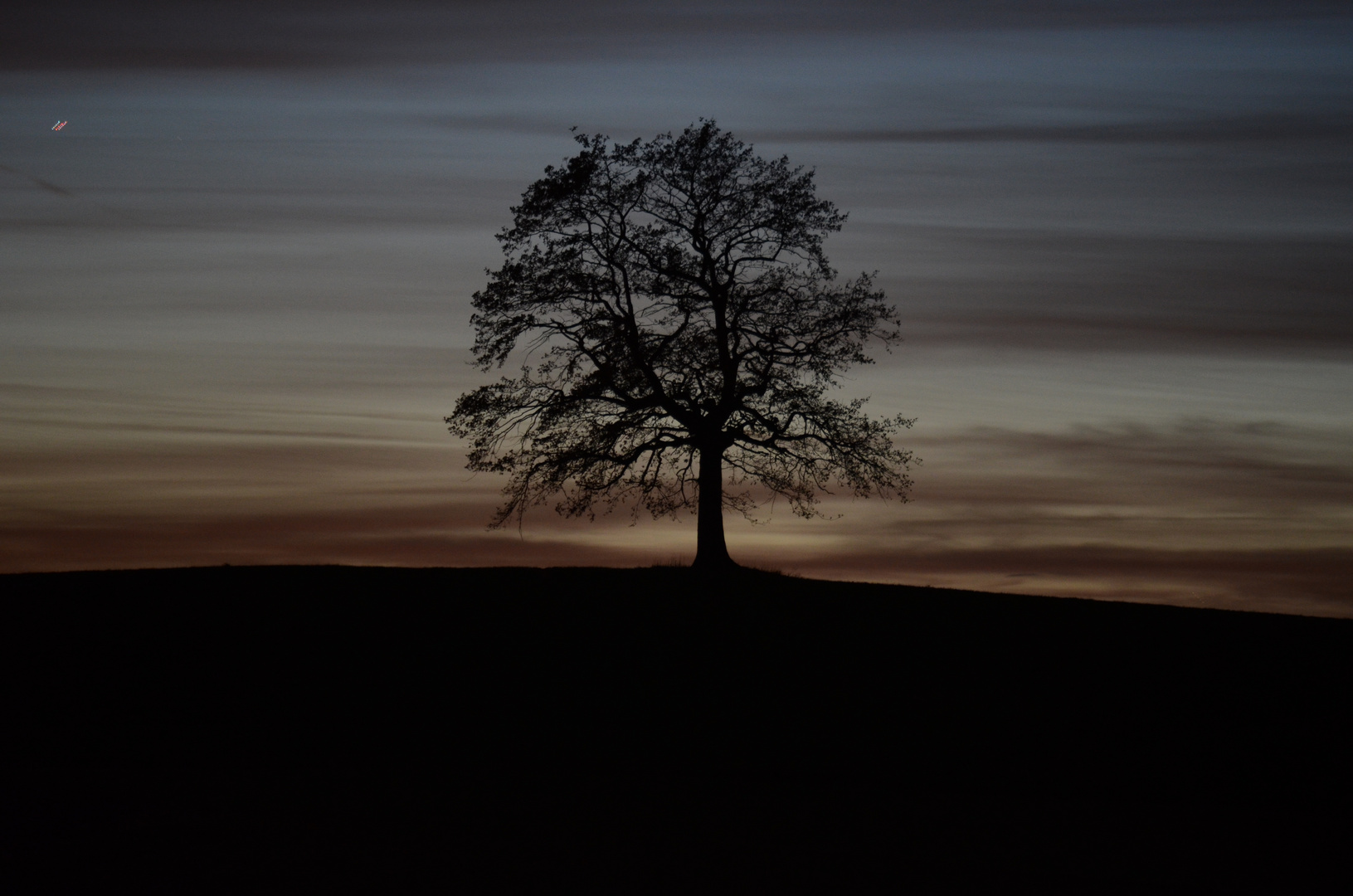 Der Baum2