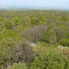 Der Baumkronenpfad im Nationalpark Hainich