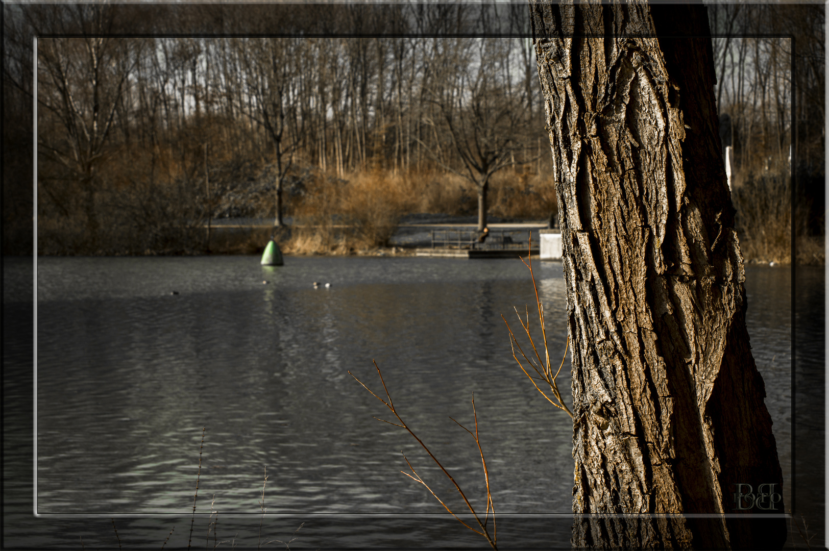 Der Baumstamm am See