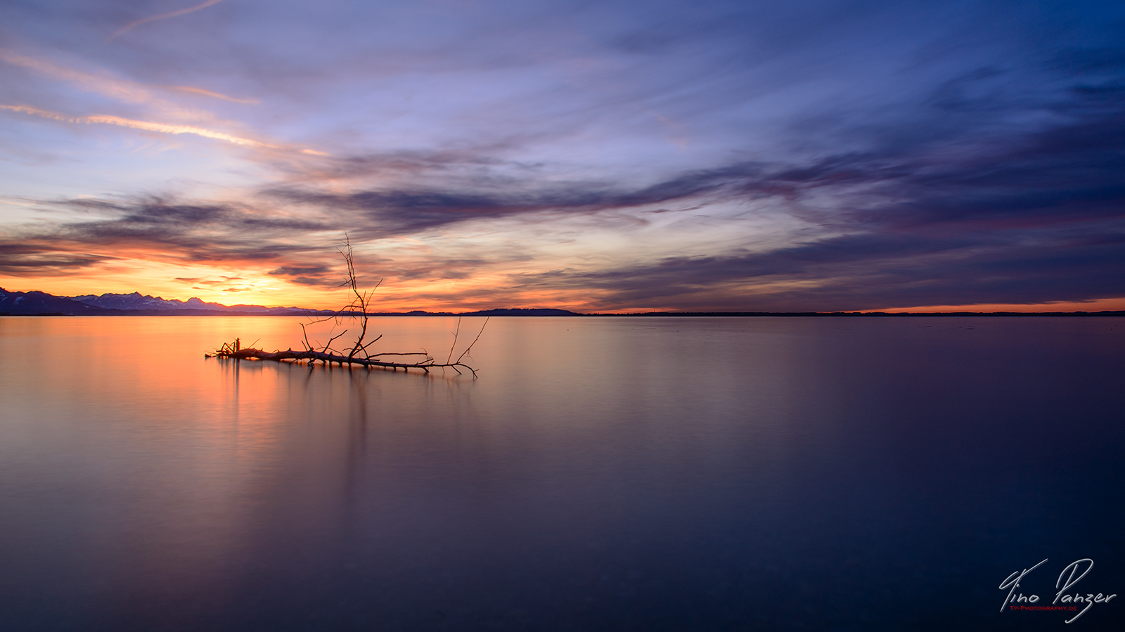 Der Baumstamm im Chiemsee